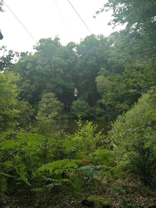 Le Mimosa, Maison De Vacances Trans-la-Foret ภายนอก รูปภาพ
